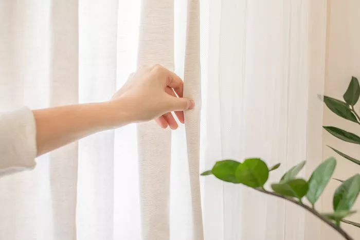 Curtains for the Living Room