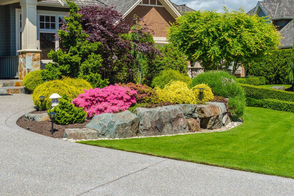 cheap simple front yard landscaping ideas