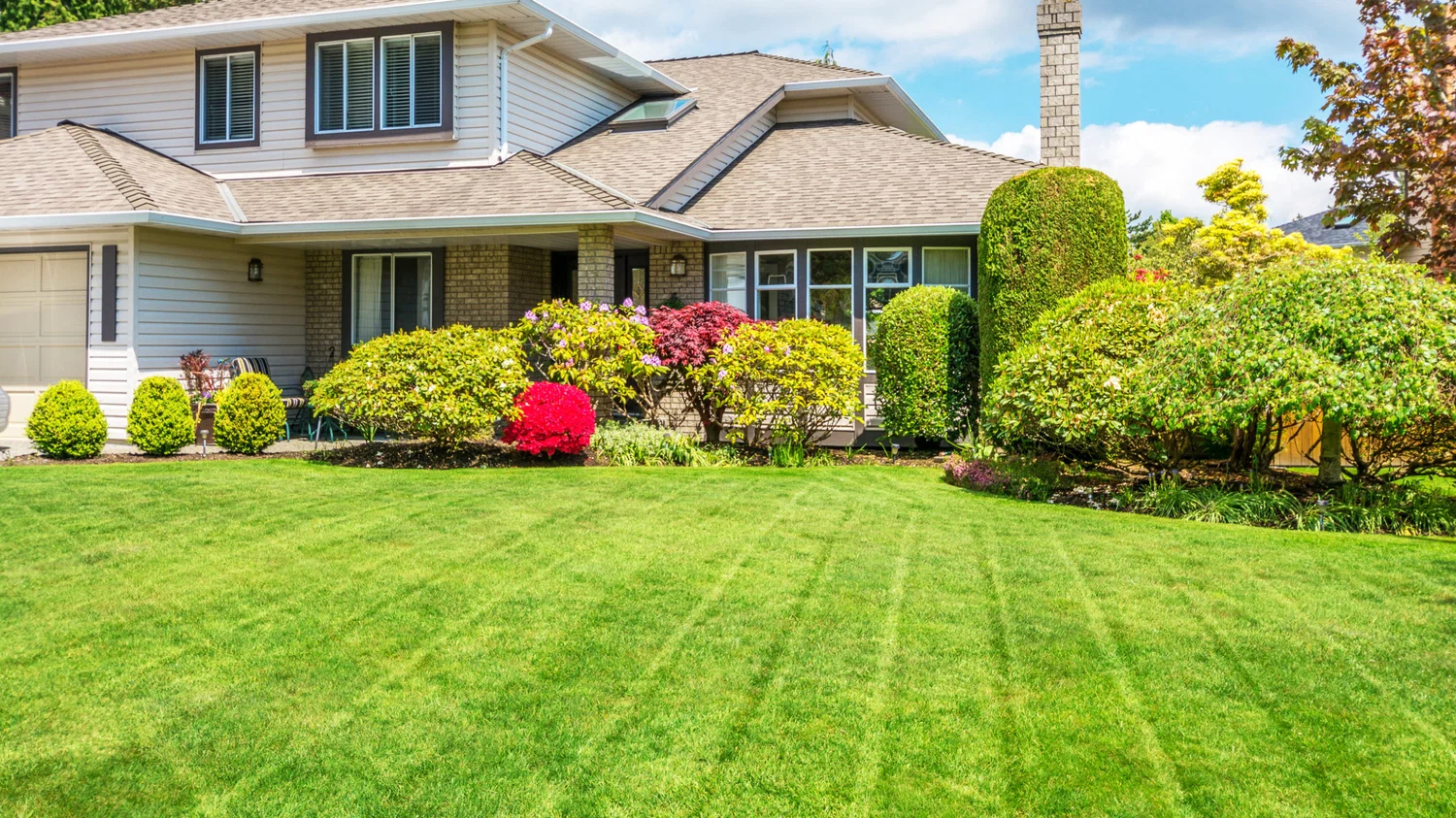 cheap simple front yard landscaping ideas