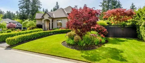 cheap simple front yard landscaping ideas