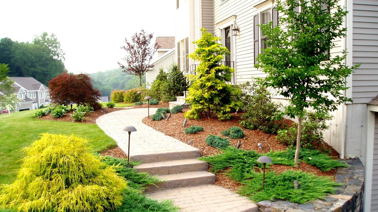 cheap simple front yard landscaping ideas